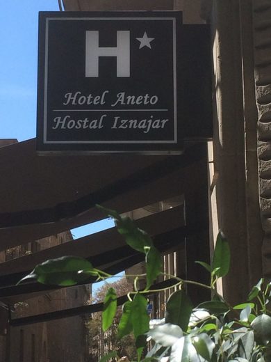 Hotel Aneto