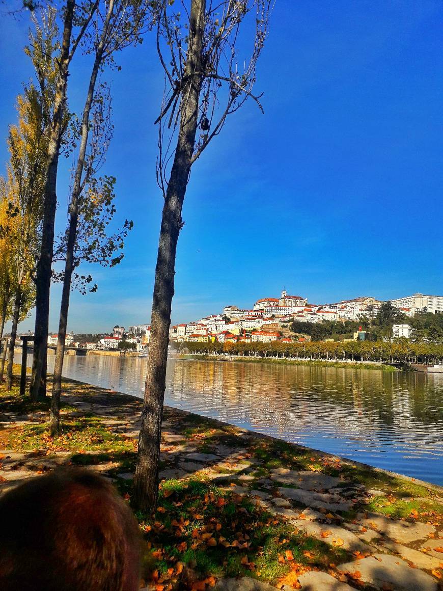 Lugar Río Mondego