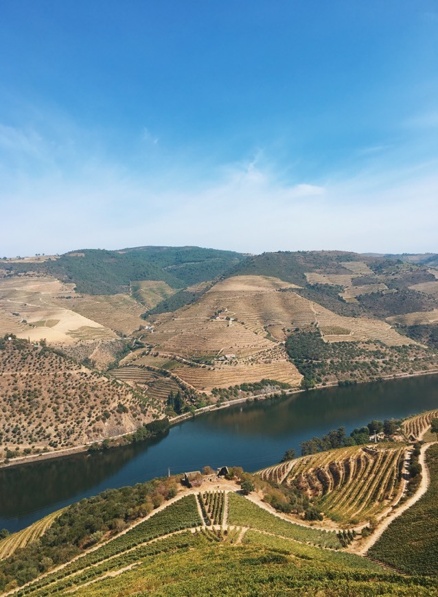 Lugar Douro