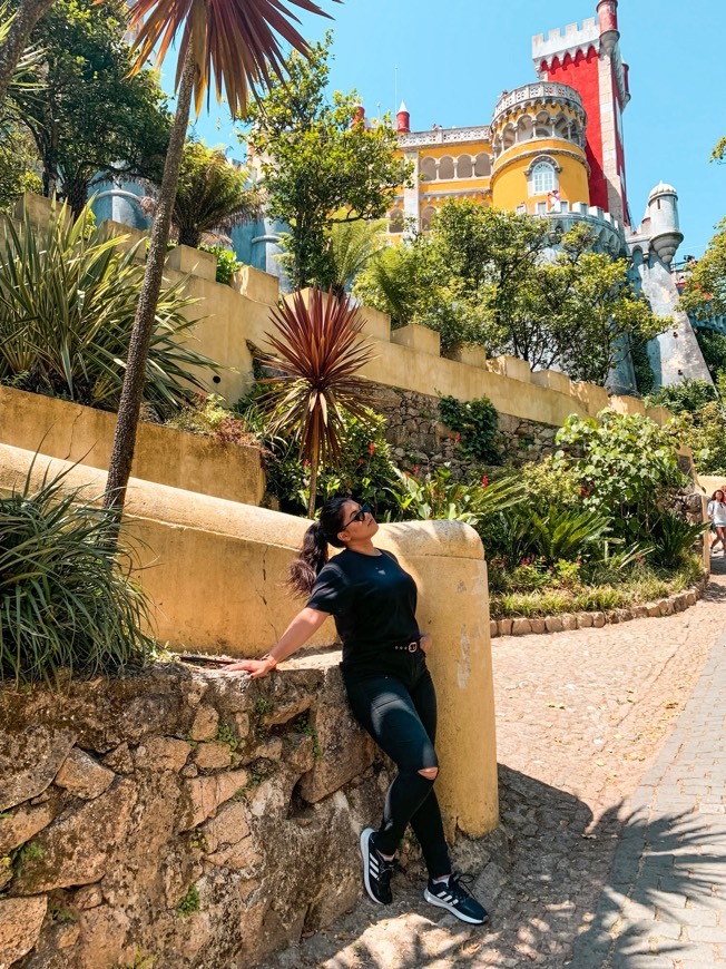 Place Palacio da Pena