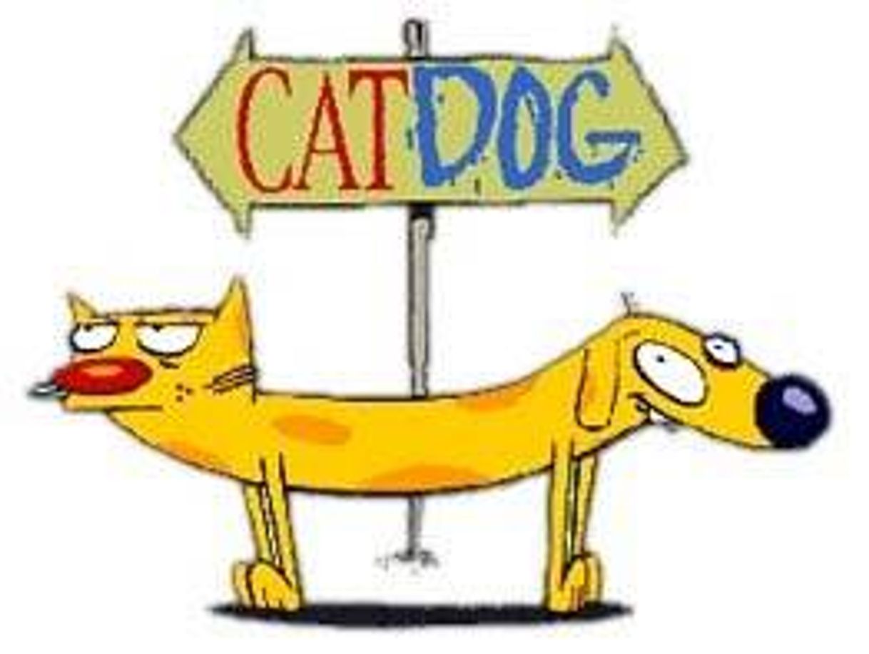 Series CatDog | Nickelodeon em Português 