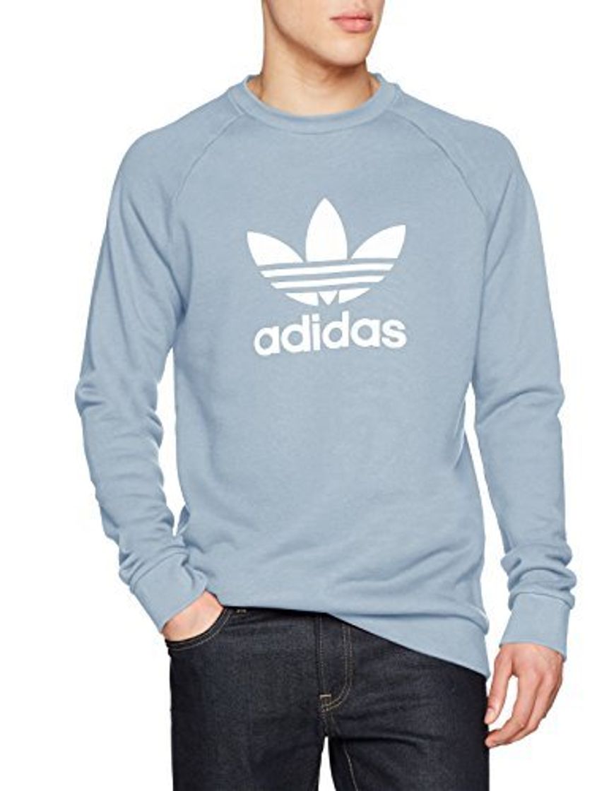 Social adidas Trefoil Crew Sudadera