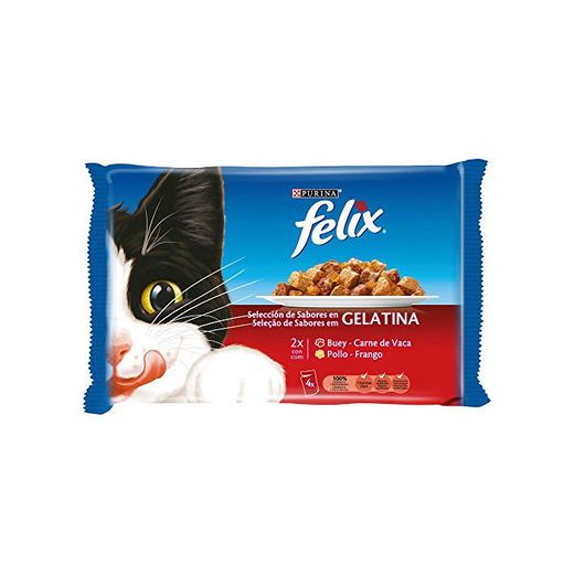 Purina Felix Gelatina comida para gatos con surtido de carnes 10 x