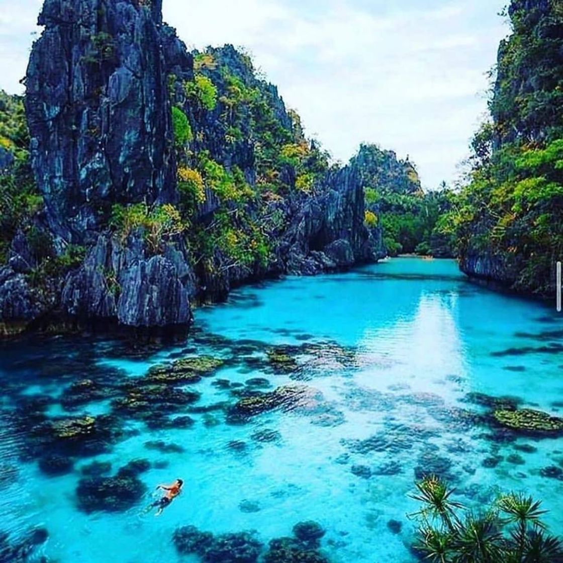 Lugar Isla de Palawan