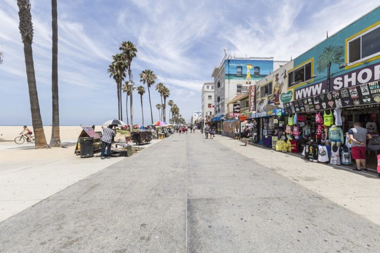 Place Venice Beach