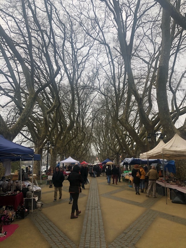 Lugar Avenida dos Platanos