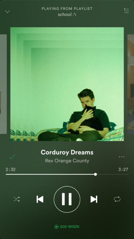 Canción Corduroy Dreams