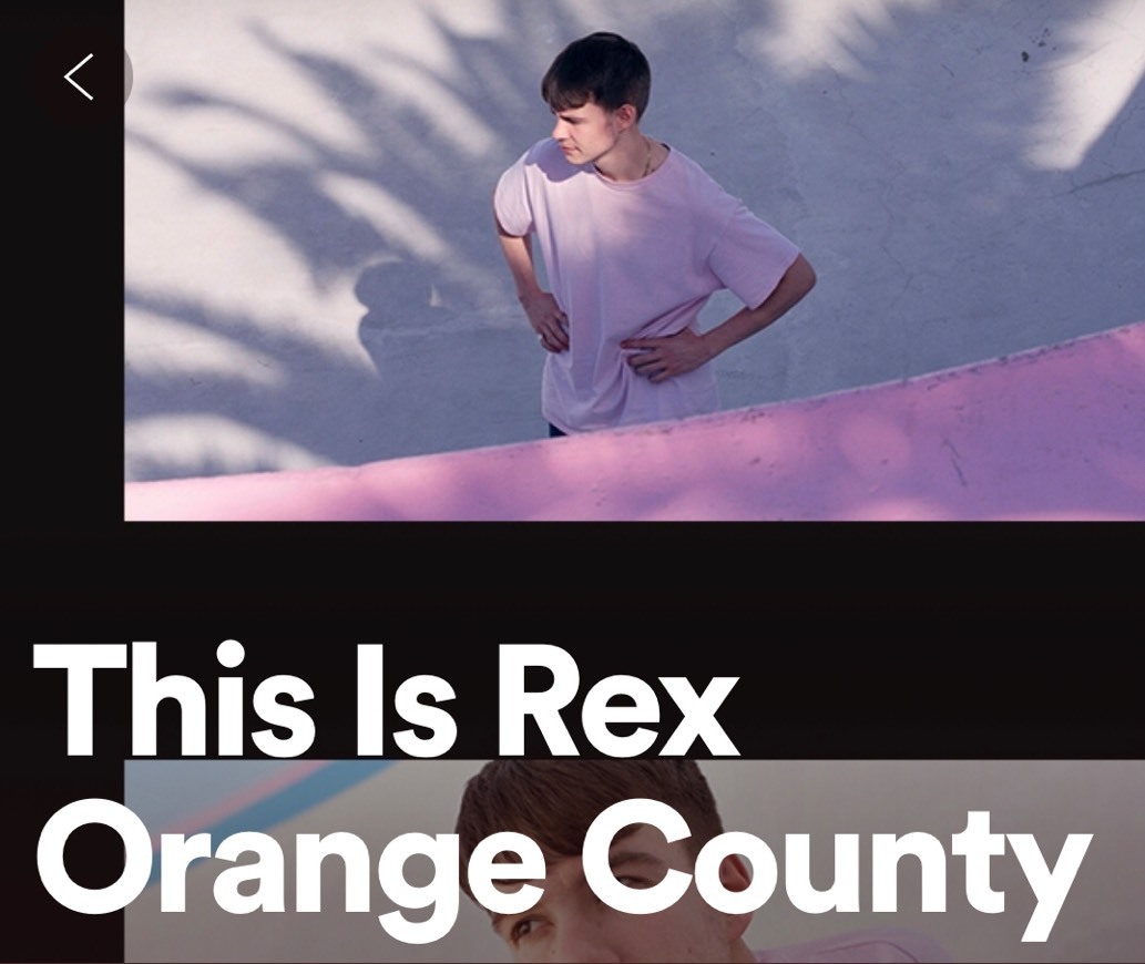 Moda Rex Orange Country Mood