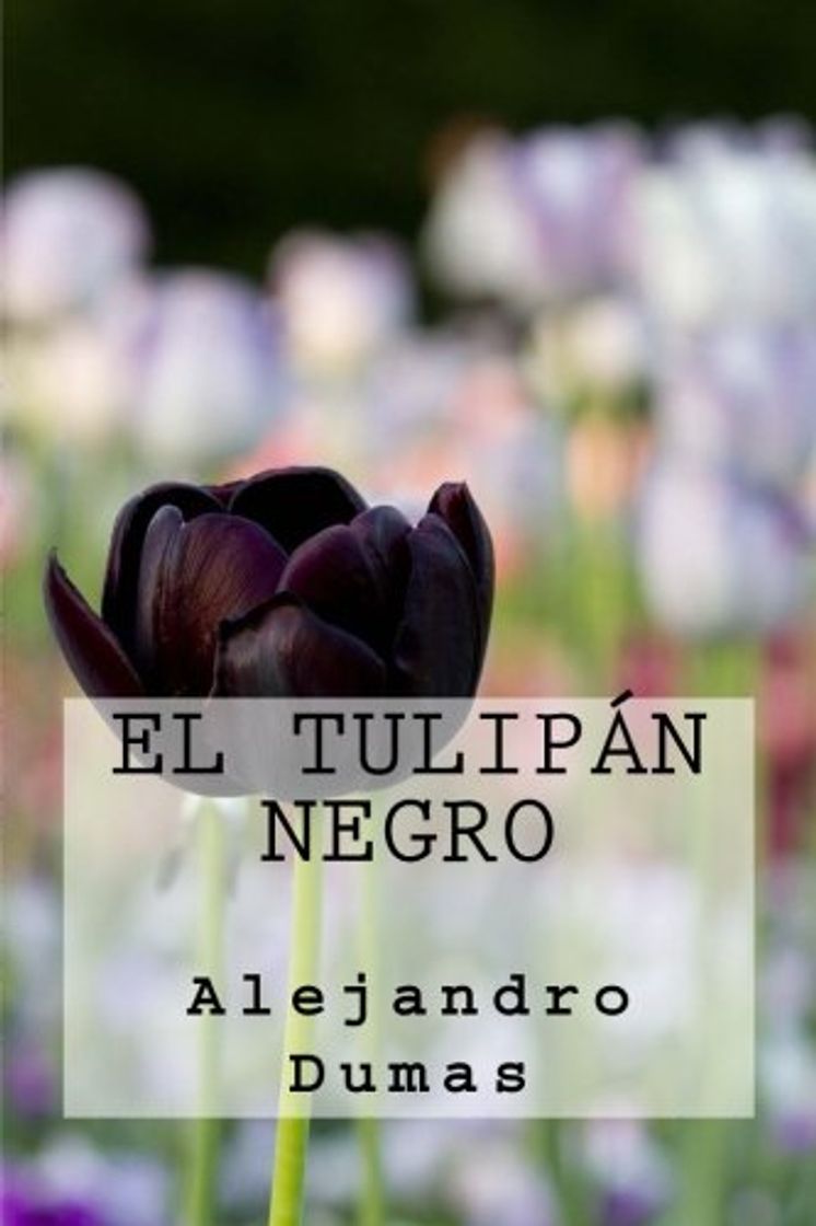 Libro El Tulipan Negro