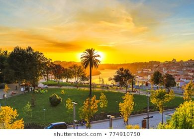 Lugar Jardim do Morro