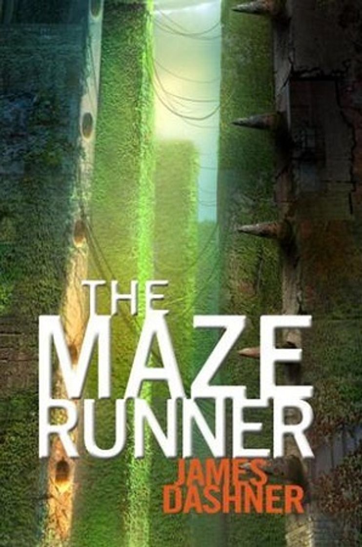 Book Maze Runner