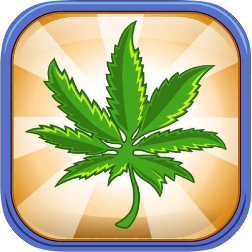 App Weed Business - Drug Farm Tycoon