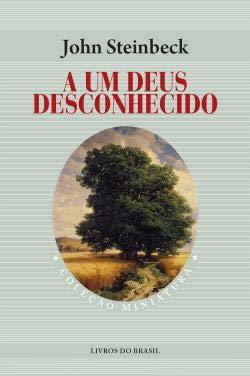 Libro A Um Deus Desconhecido