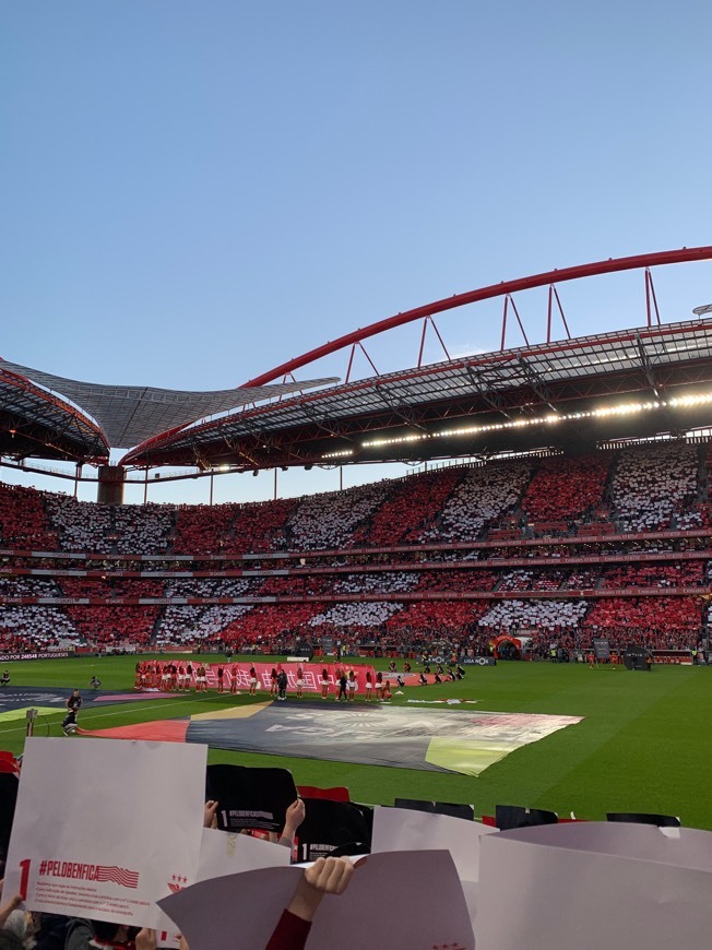 Lugar Estádio Sport Lisboa e Benfica