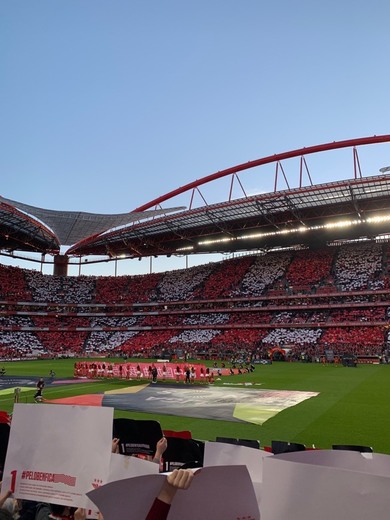 Estádio Sport Lisboa e Benfica