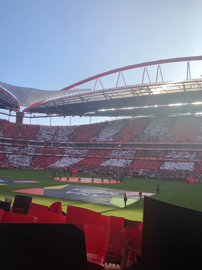 Lugar Estadio da Luz entrada