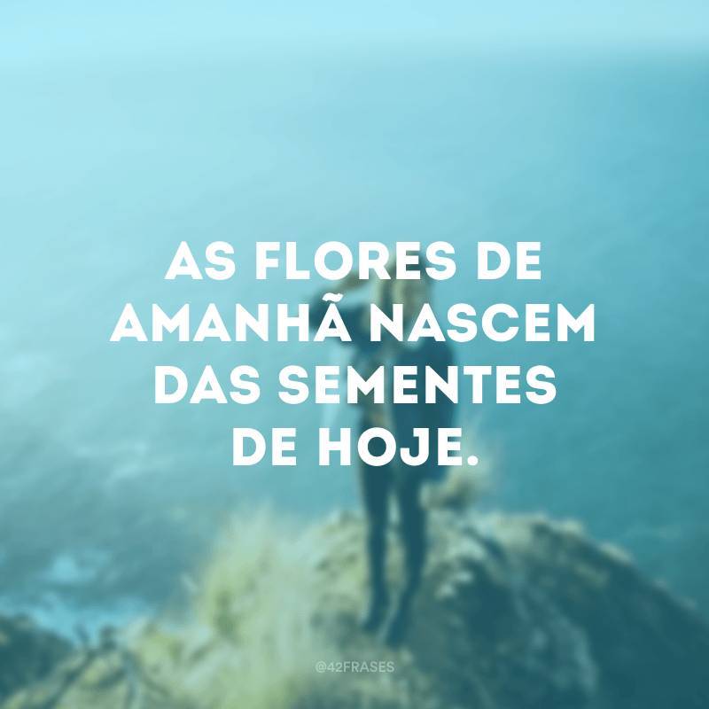 Fashion Frase do dia