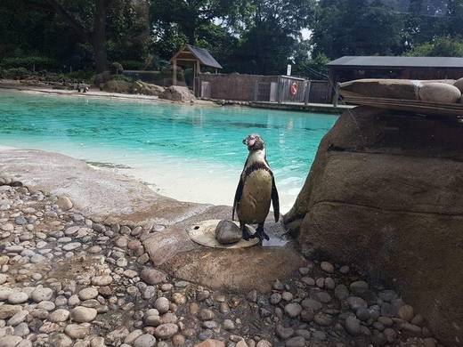 London Zoo