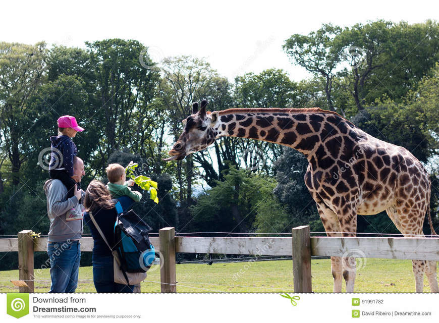 Place Fota Wildlife Park