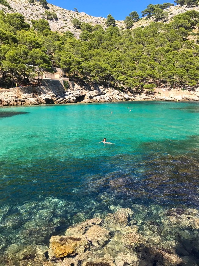 Places CALA MURTA PALMA DE MAIORCA