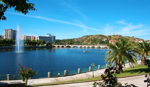 Mirandela