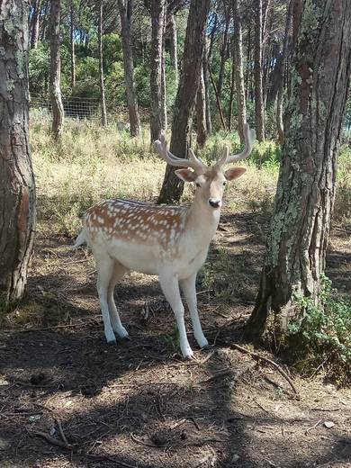 Europaradise | Parque Zoológico