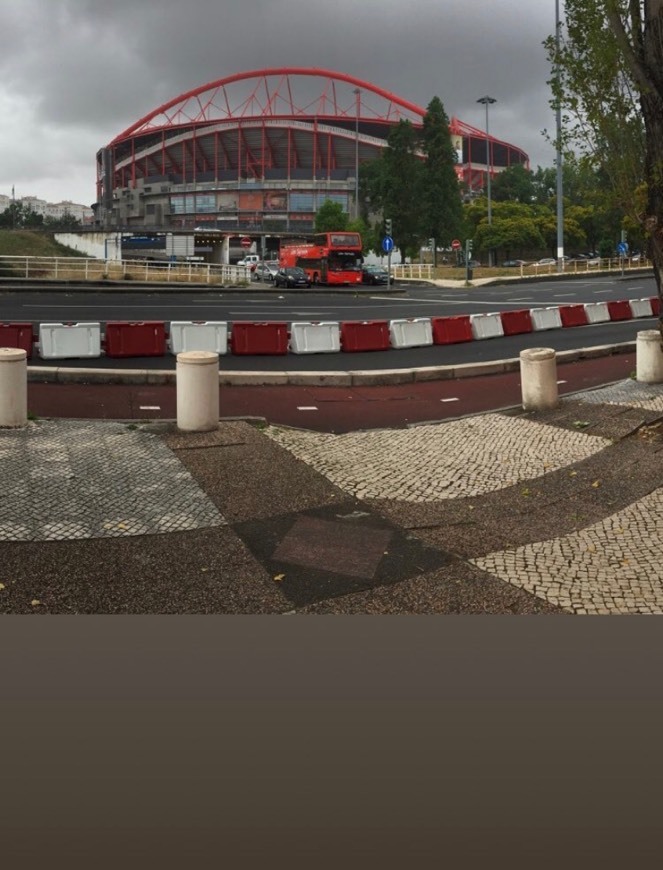 Place Estádio Sport Lisboa e Benfica