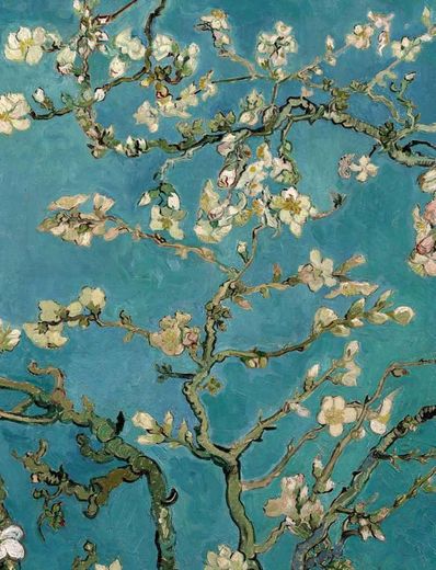 Amendoeira em flor - Van Gogh 