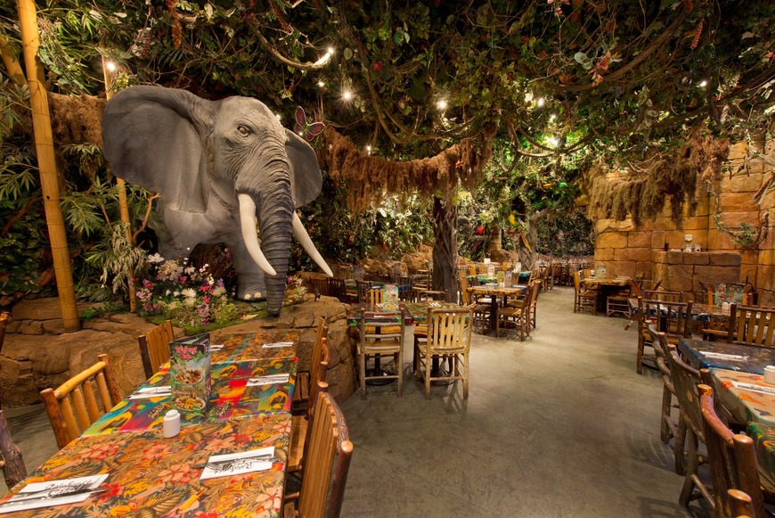 Restaurantes Rainforest Café