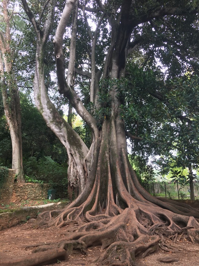 Lugar Quinta das Lágrimas Academia de Golfe