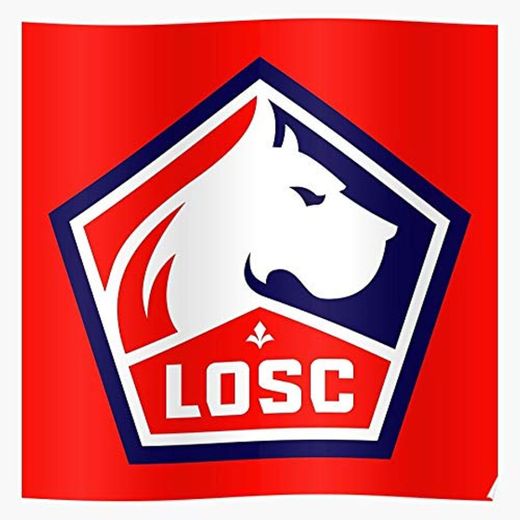 Dog Losc Olympique Lys Sporting Pierre Dogue De Mauroy Lille Fleur Stade El mejor y más nuevo póster para la sala de decoración del hogar de arte de pared