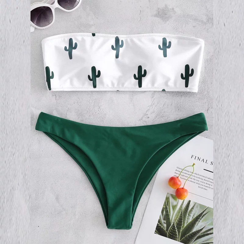 Fashion Cactus 🌵 