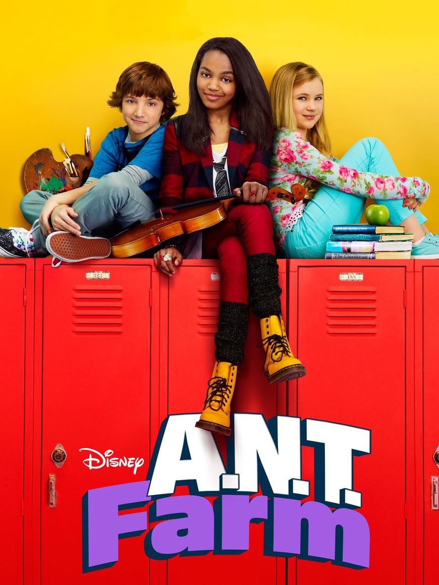 Social Ant Farm
