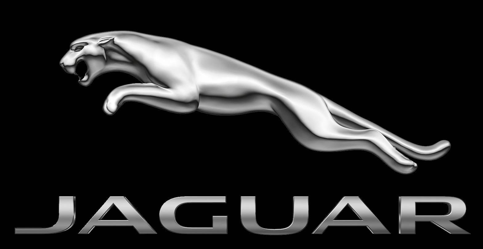 Moda Jaguar 