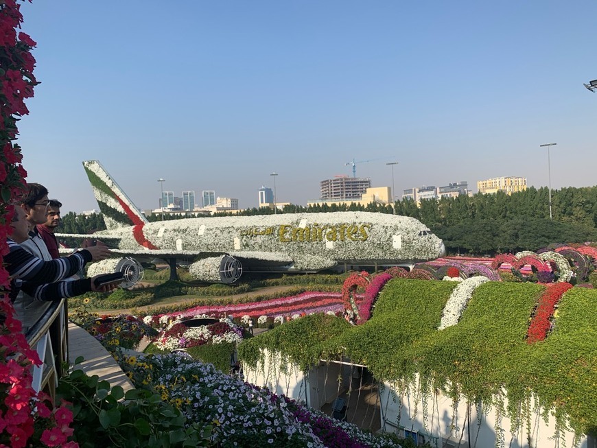 Lugar Miracle Garden