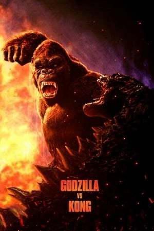 Movie Godzilla vs. Kong