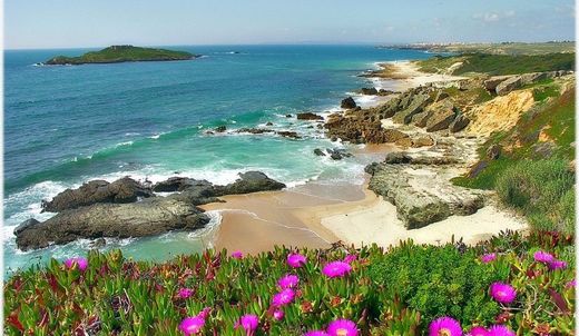 Praia da Ilha do Pessegueiro