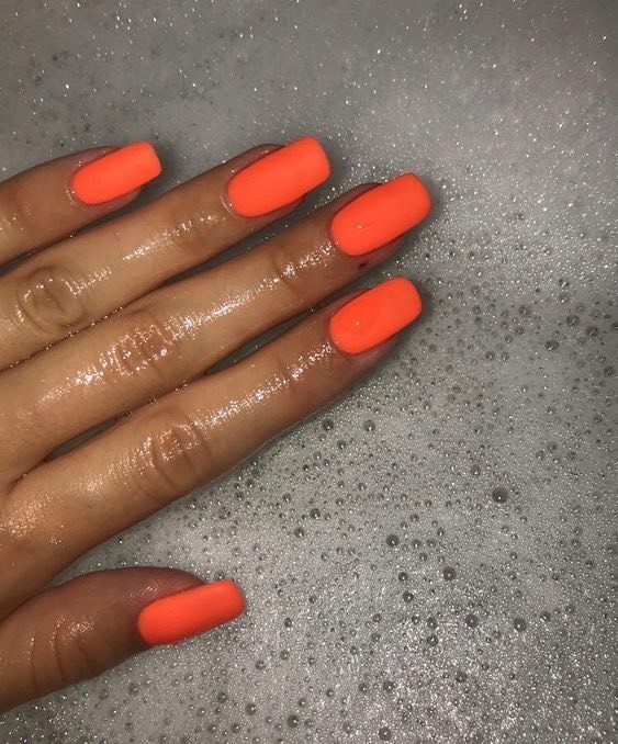Social NAILS