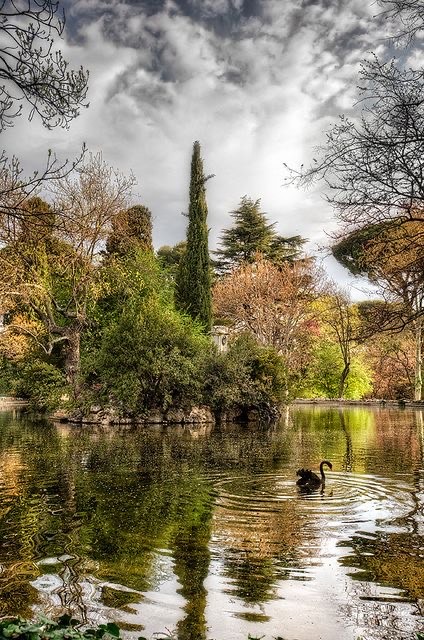 Fashion Parque Del Capricho 