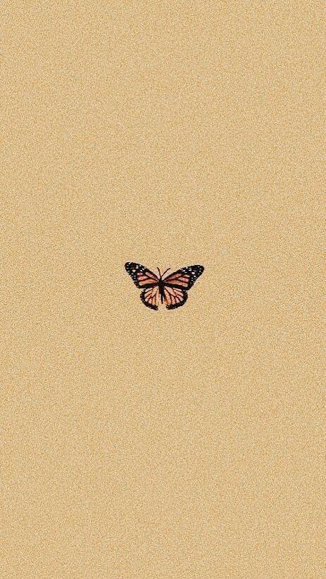 Social Wallpaper butterfly 🦋