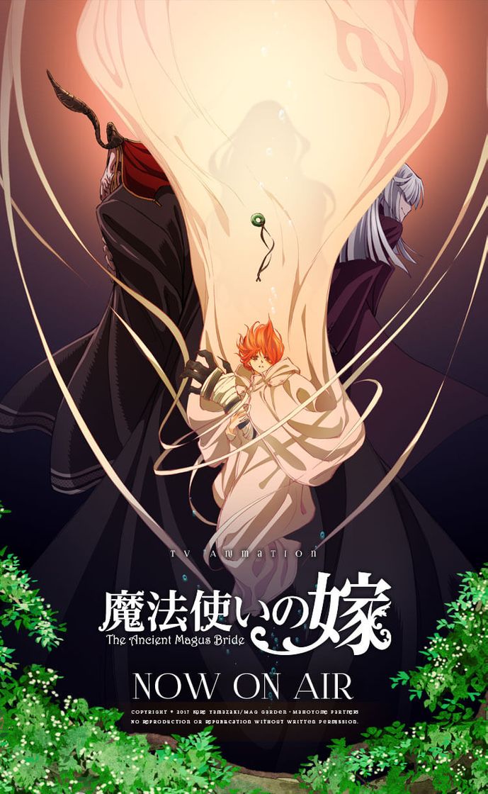 Serie The Ancient Magus' Bride (Mahou Tsukai no Yome)