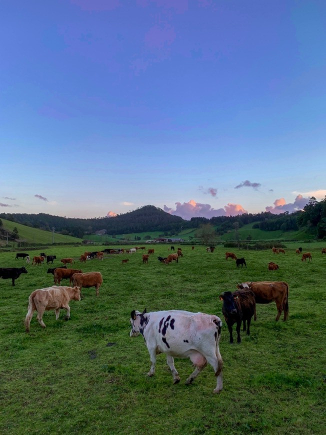 Lugar Furnas