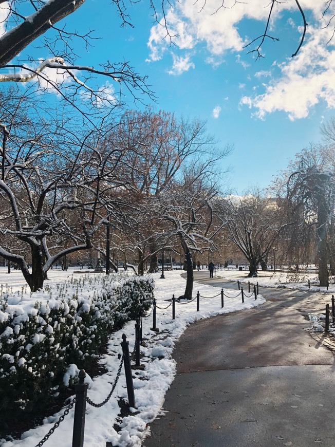 Place Boston Common