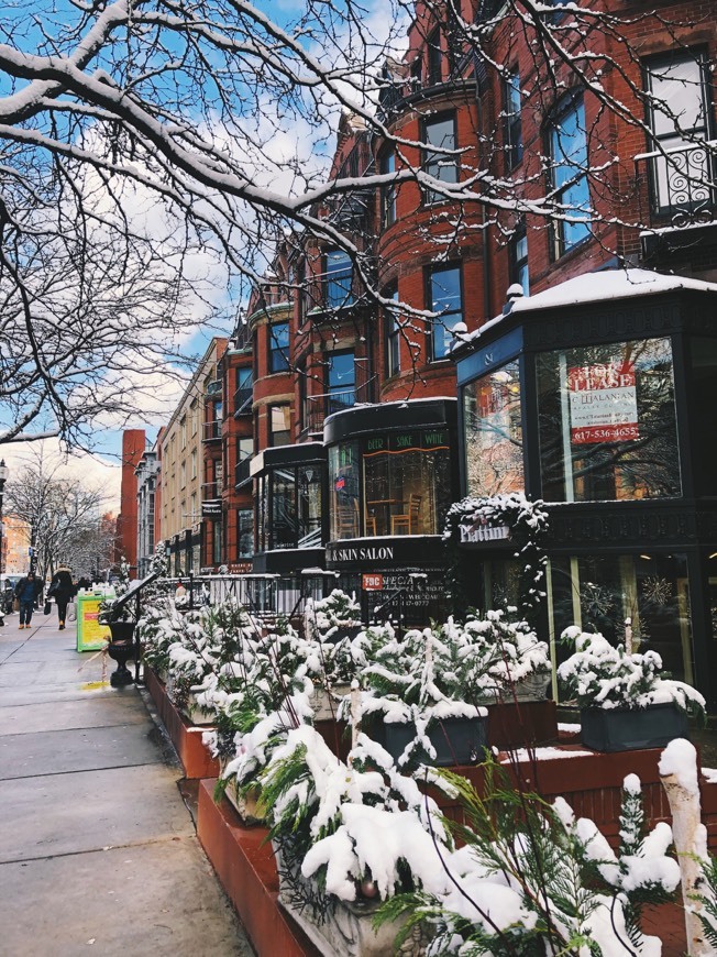 Place Newbury Street