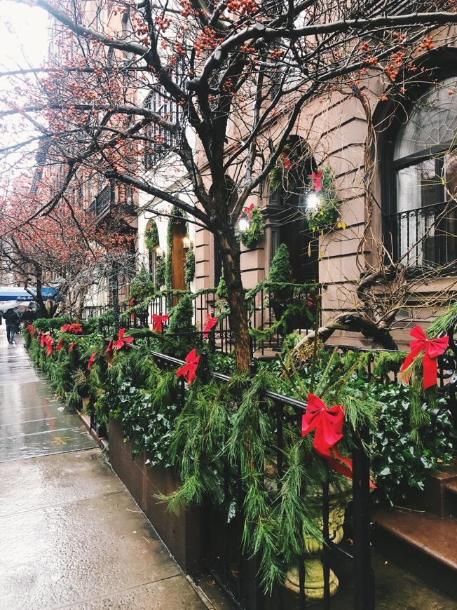 Place Greenwich Village