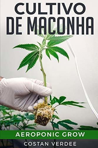 Cultivo De Maconha