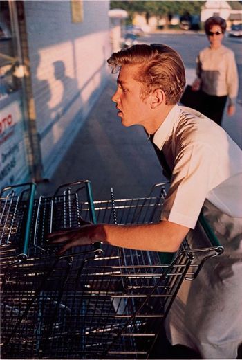 WILLIAM EGGLESTON PORTRAITS