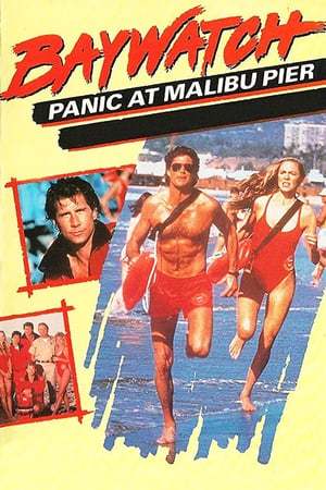 Movie Baywatch: Panic at Malibu Pier