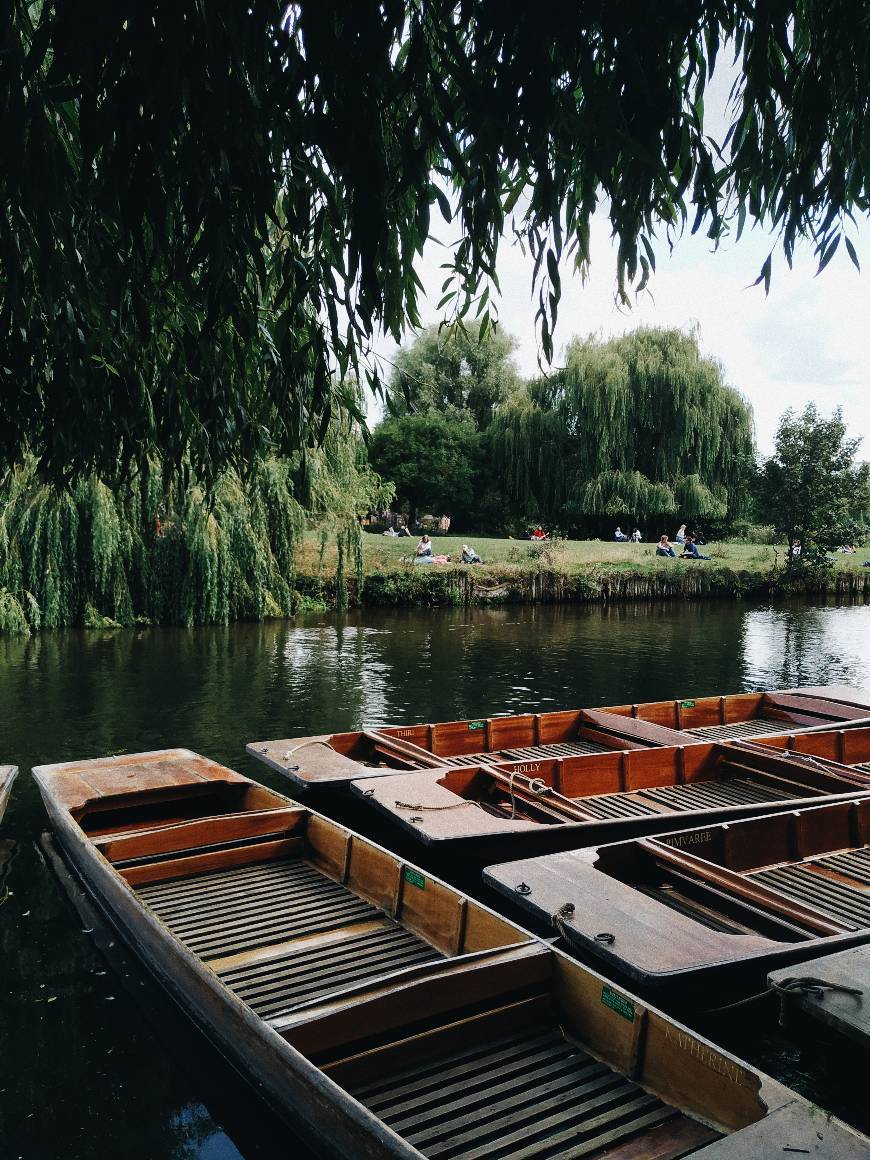 Moda Punting in Cambridge