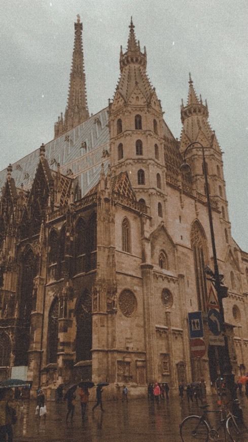 Place Catedral de viena